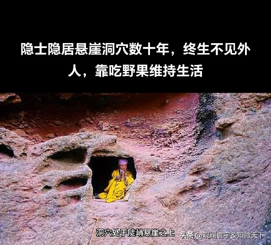 一年四季都有果子吃吗？真能耐得住寂寞！