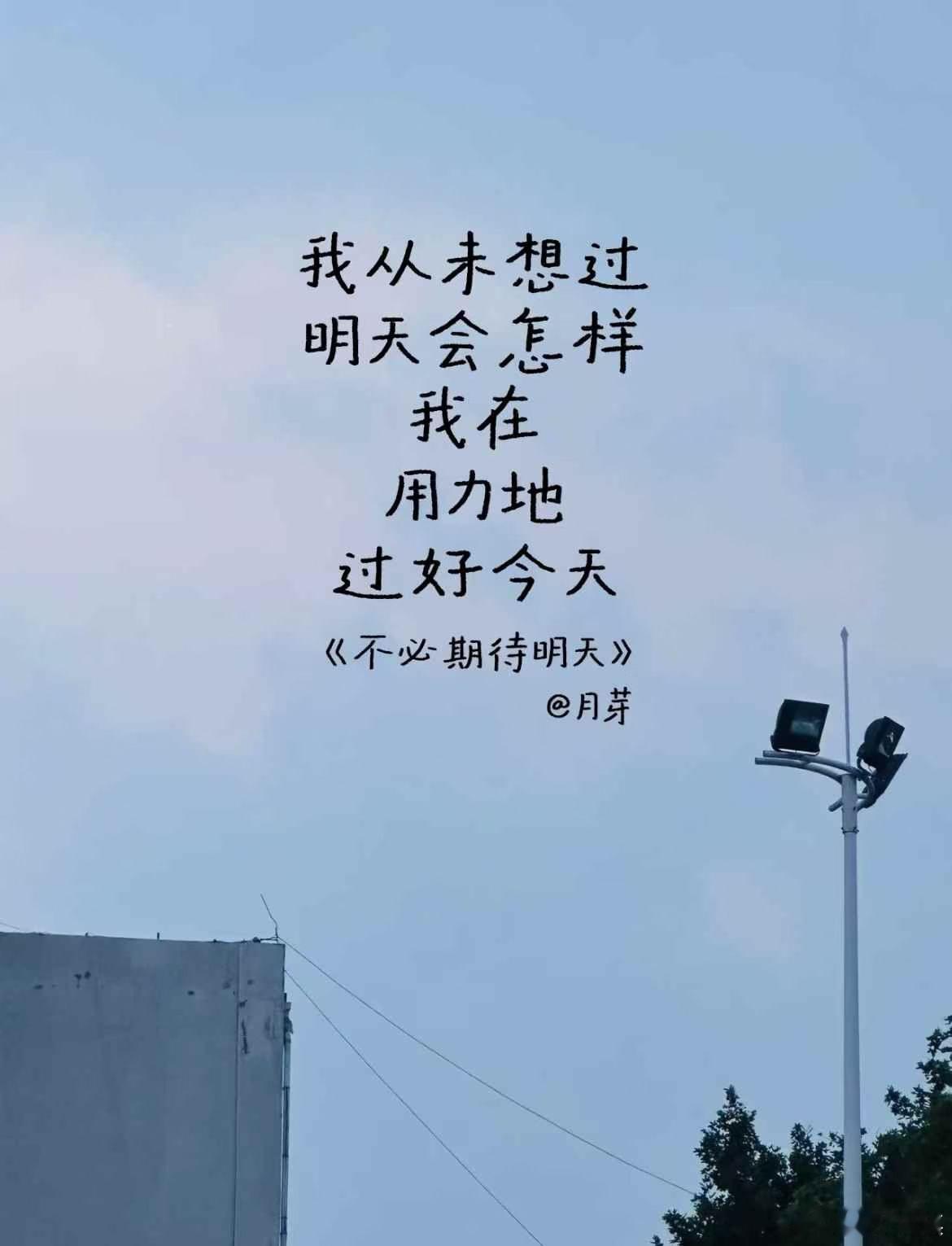 用心过好每一个当下wanan晚安💤 