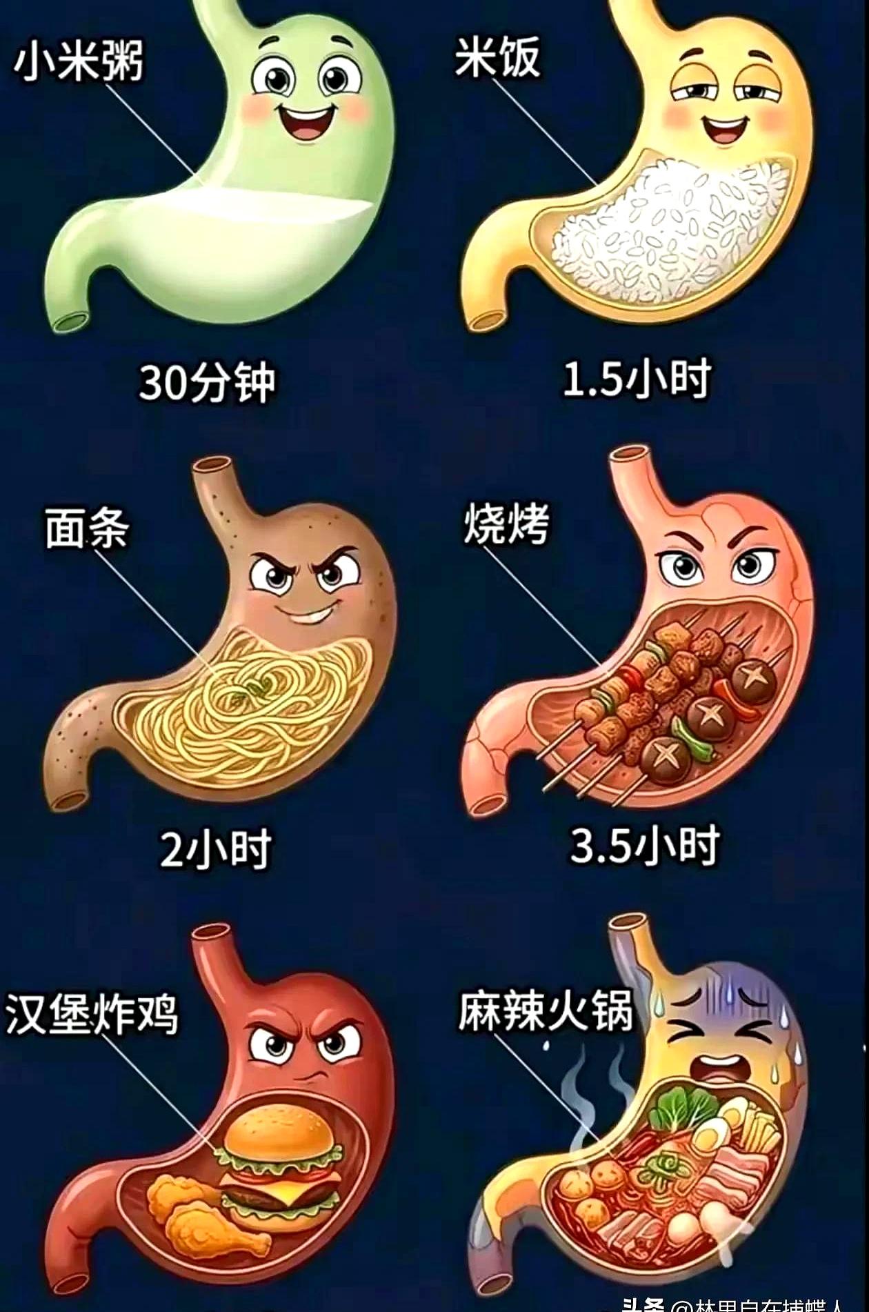 老是刚吃完就饿？
多半吃错了。
想顶饿，就记住：蛋白+纤维+一点脂肪，稳。
早上