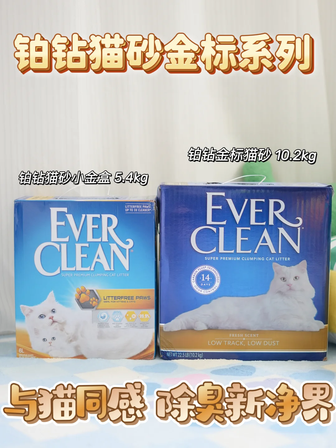 双11猫砂冲哪款！这个猫砂尊嘟可以放心冲！！