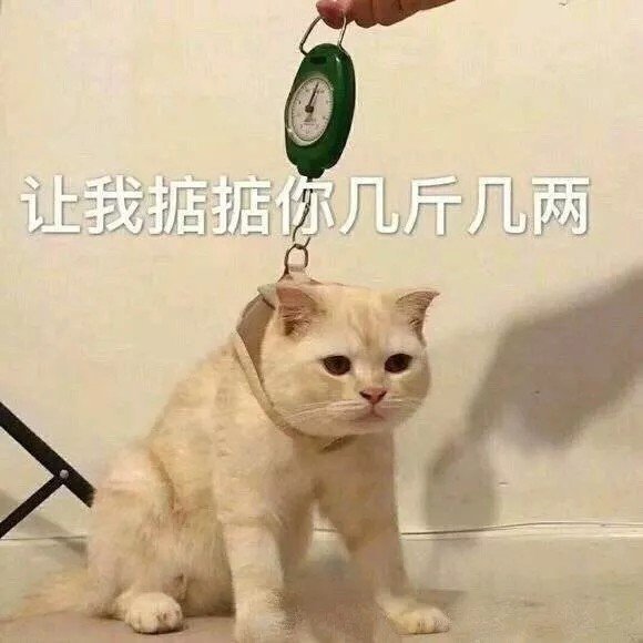 你们想存的表情包来啦 ​​​