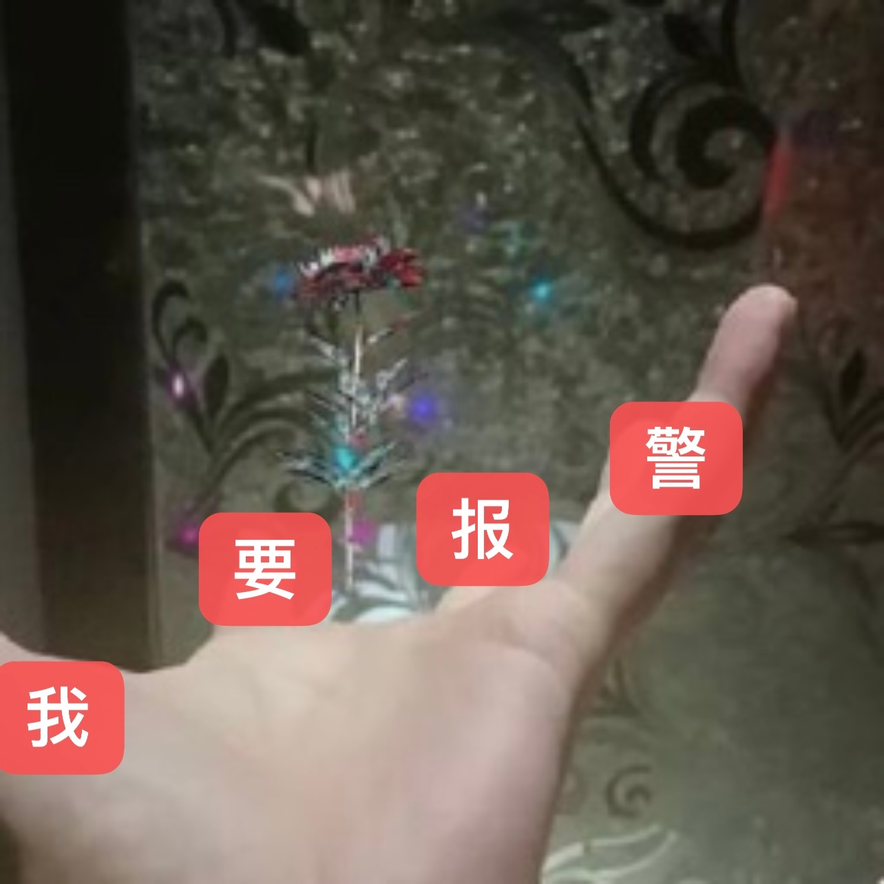 咋样了妹子 再拿不到报警回执我的相册都要被你的穷酸侵占了，我不允许我的相册有你这