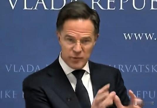 关于乌克兰加入北约的问题，2024年在华盛顿举行了一次峰会，峰会声明用非常明确的