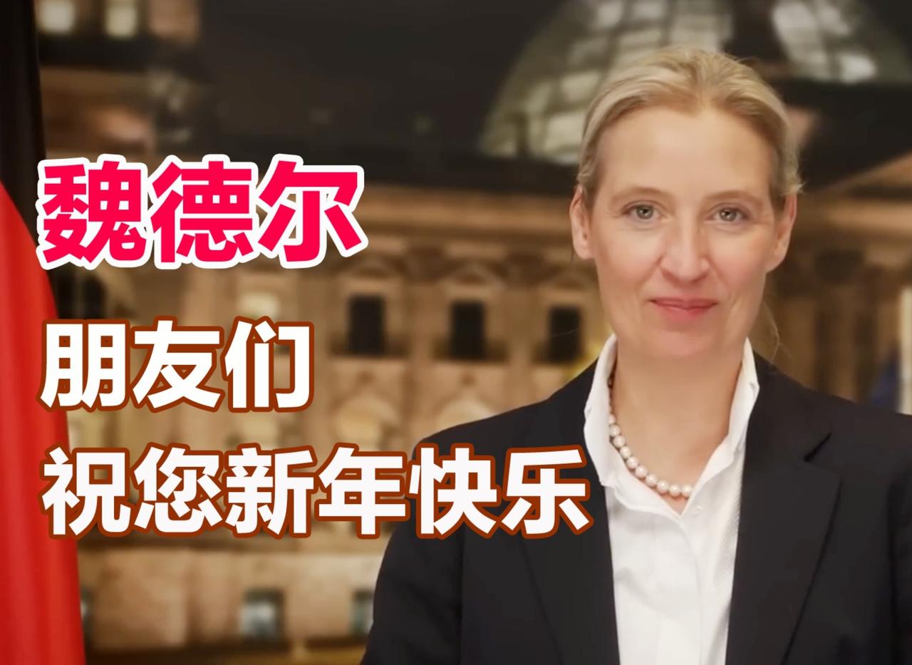 魏德尔祝您跨年愉快，2026顺遂安康！
UP主：AfD德国选择
首发时间：202