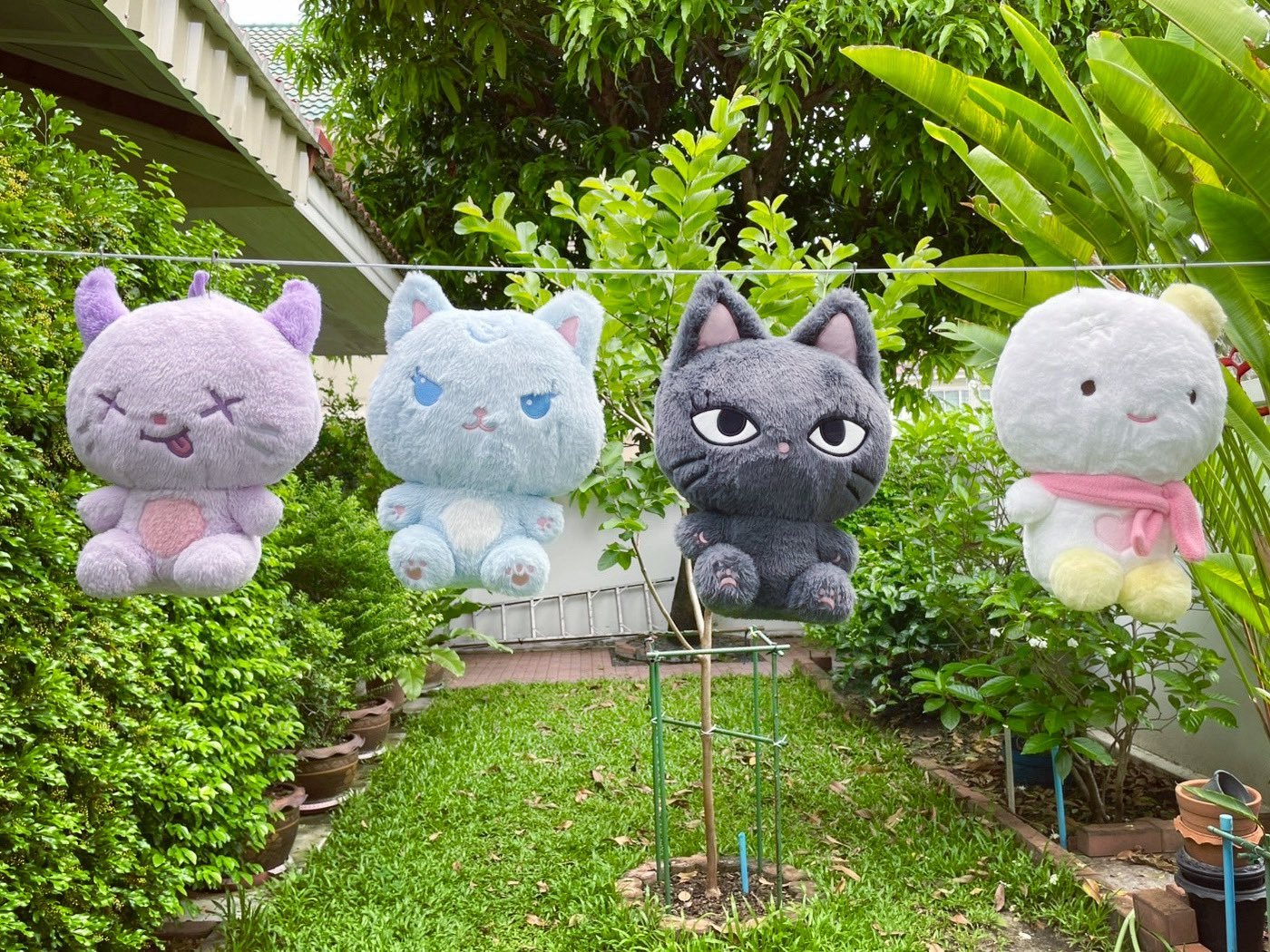 孙孙头皮有点痛 