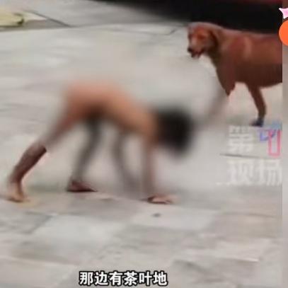 野人孩子父母正被
调查是否违法：
高知父母的“自然教育”引争议
 
近日，四川雅
