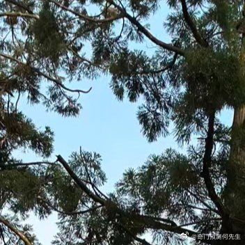 书中曾说：“地气盛，则屋光亮，居者得其气，自然获福;地如气衰，则屋必枯，居者无生
