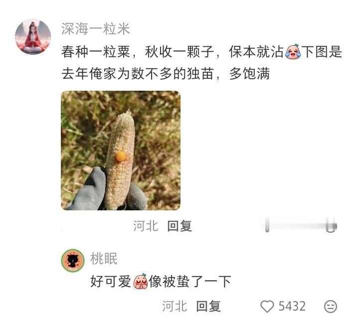 原来这就是一分耕耘一颗收获 ​​​