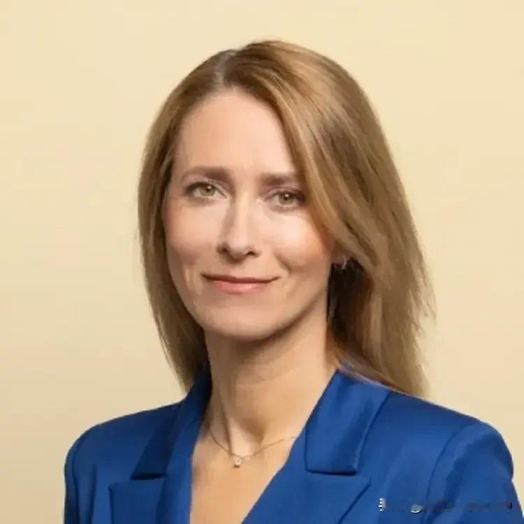 爱沙尼亚可能已经瑟瑟发抖。据到爱沙尼亚警察与边防局副局长维科·科穆萨尔称，爱沙尼