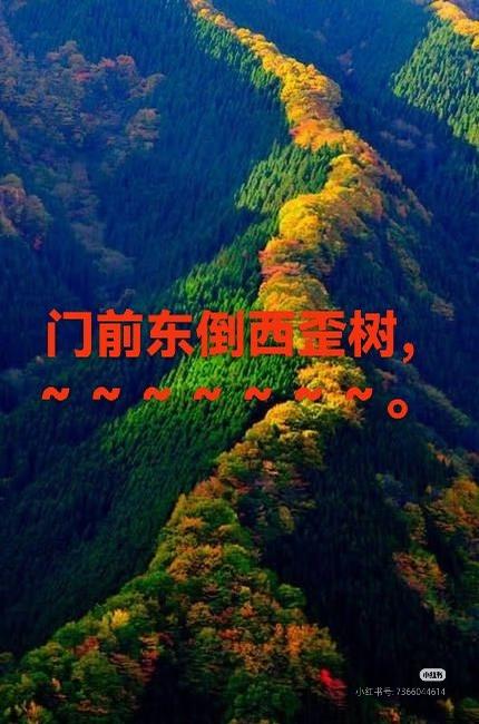 上联：
门前东倒西歪树，
下联：？