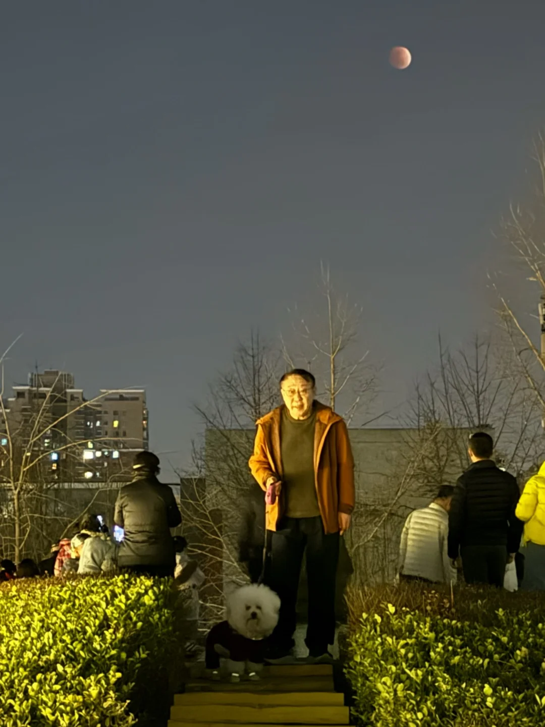 带咪子元宵节看血月全食记录🥳
