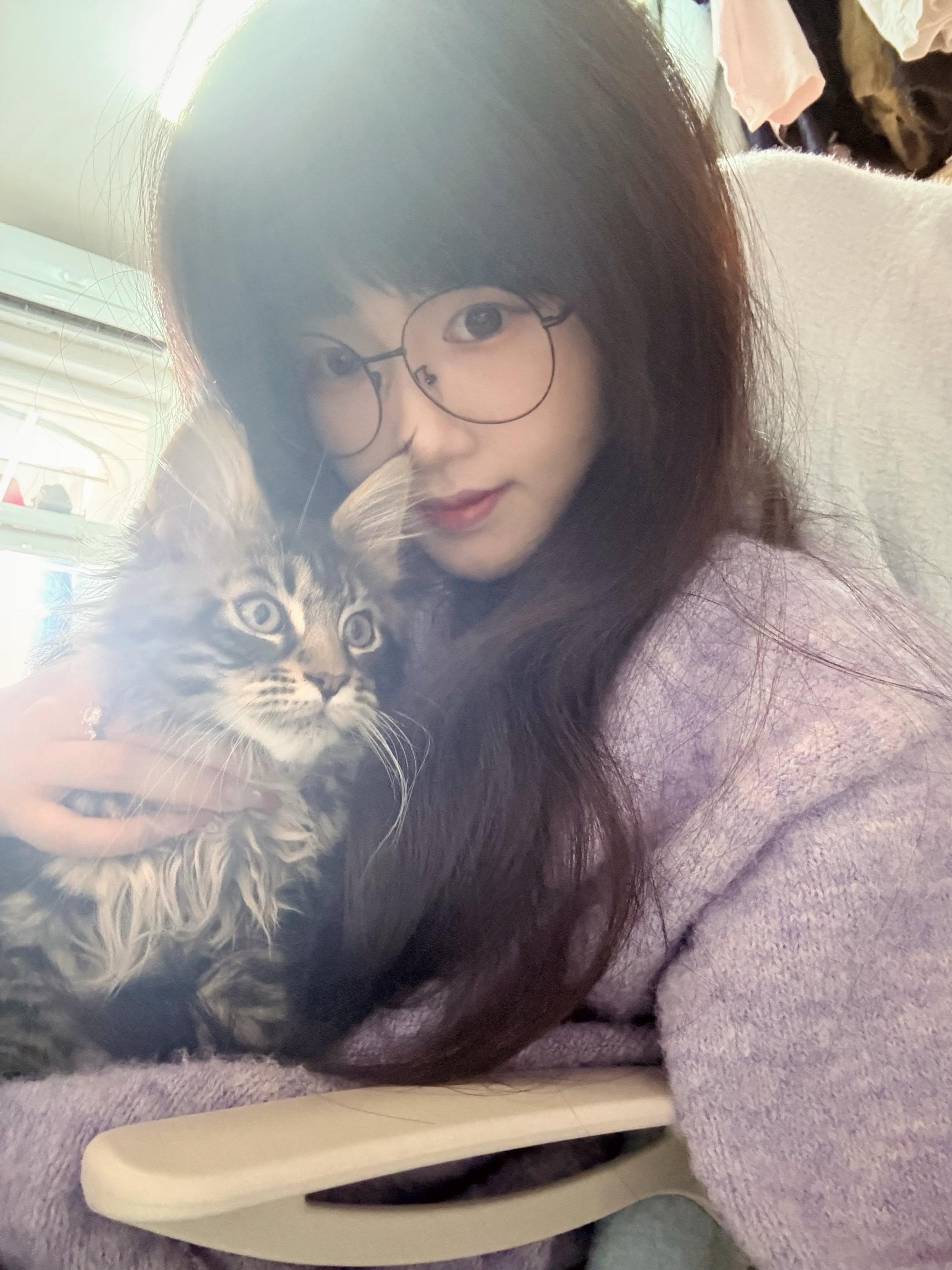 原相机live 日常分享 缅因猫 虎斑