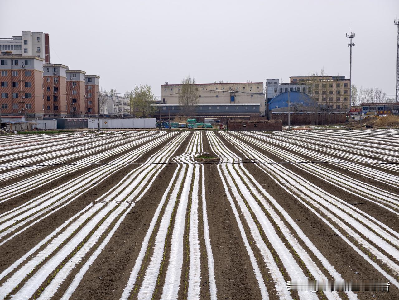 雄安并不完美，但请给雄安一点时间。
雄安的定位是很高端大气上档次的，就是要建设一