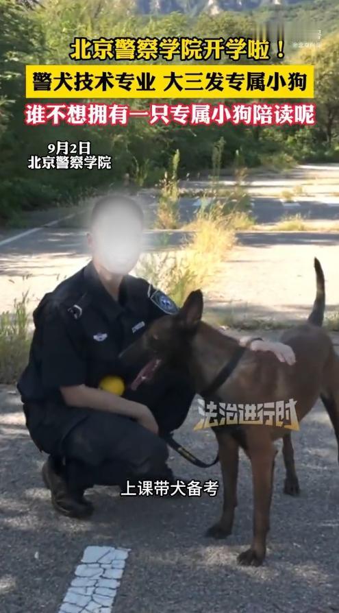 太让人羡慕！警院大三学生开学领到专属警犬
 
开学名场面来袭！北京警察学院警犬技