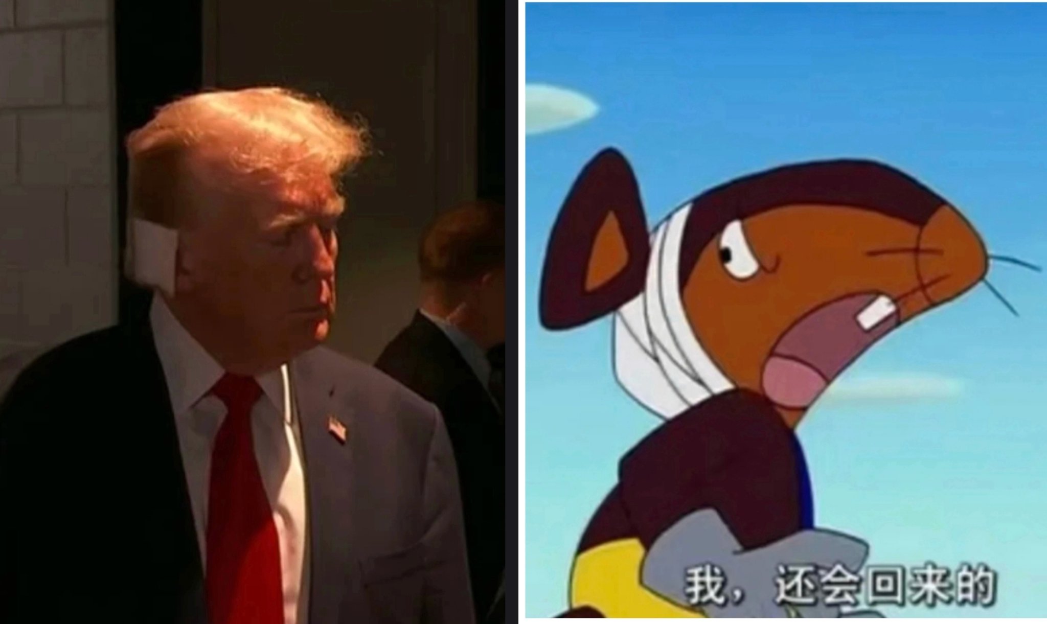 难绷👂🏻 ​​​