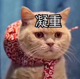 软莓热聚影视剧
