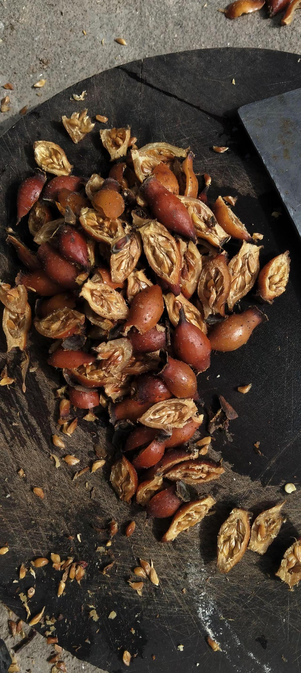 谁能用普通话叫出这东西的名字！