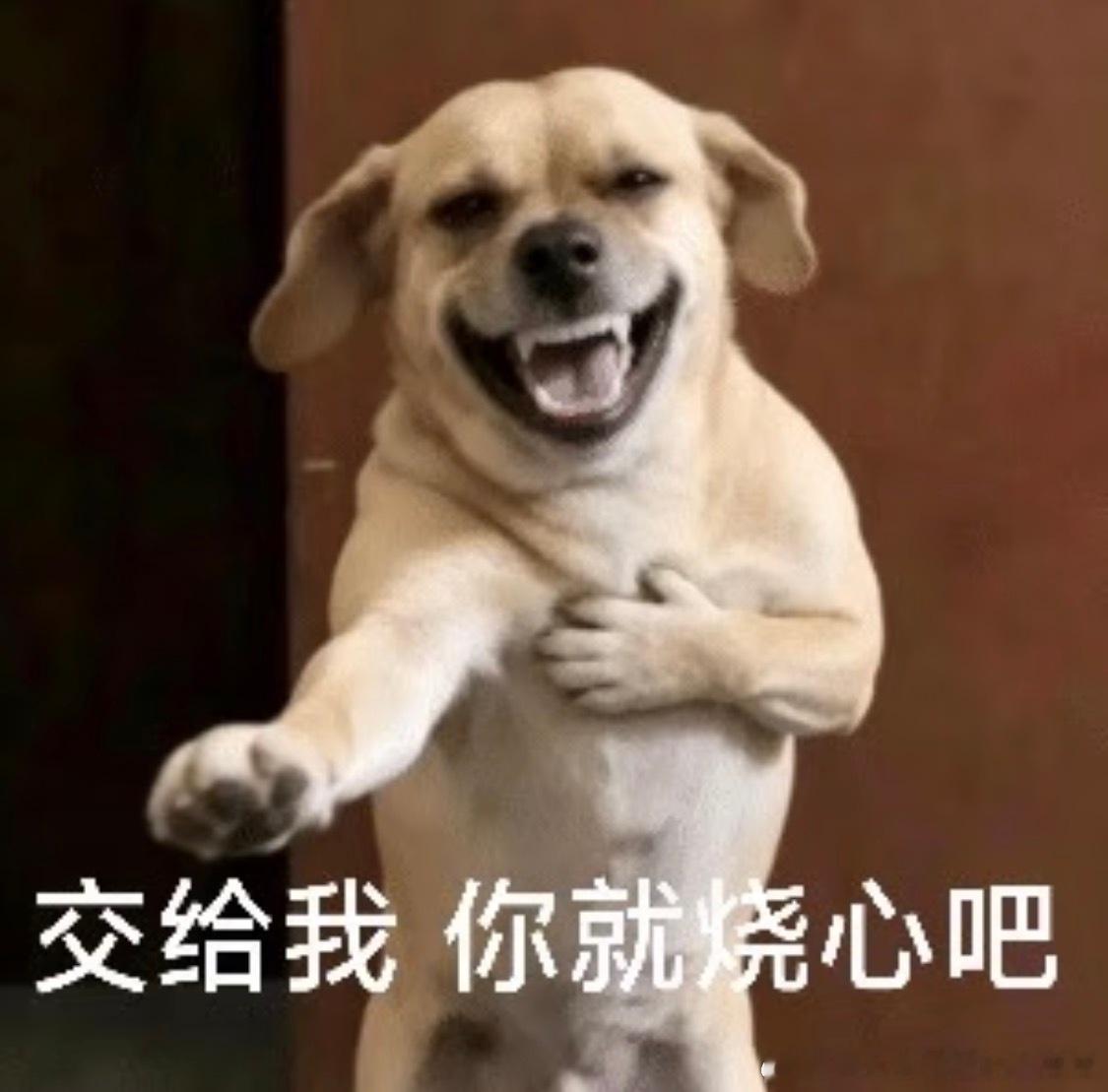 真夸张啊哈哈哈，艺术来源生活啊！电视剧有没有这个剧情的我想看！短剧也行！！之前我