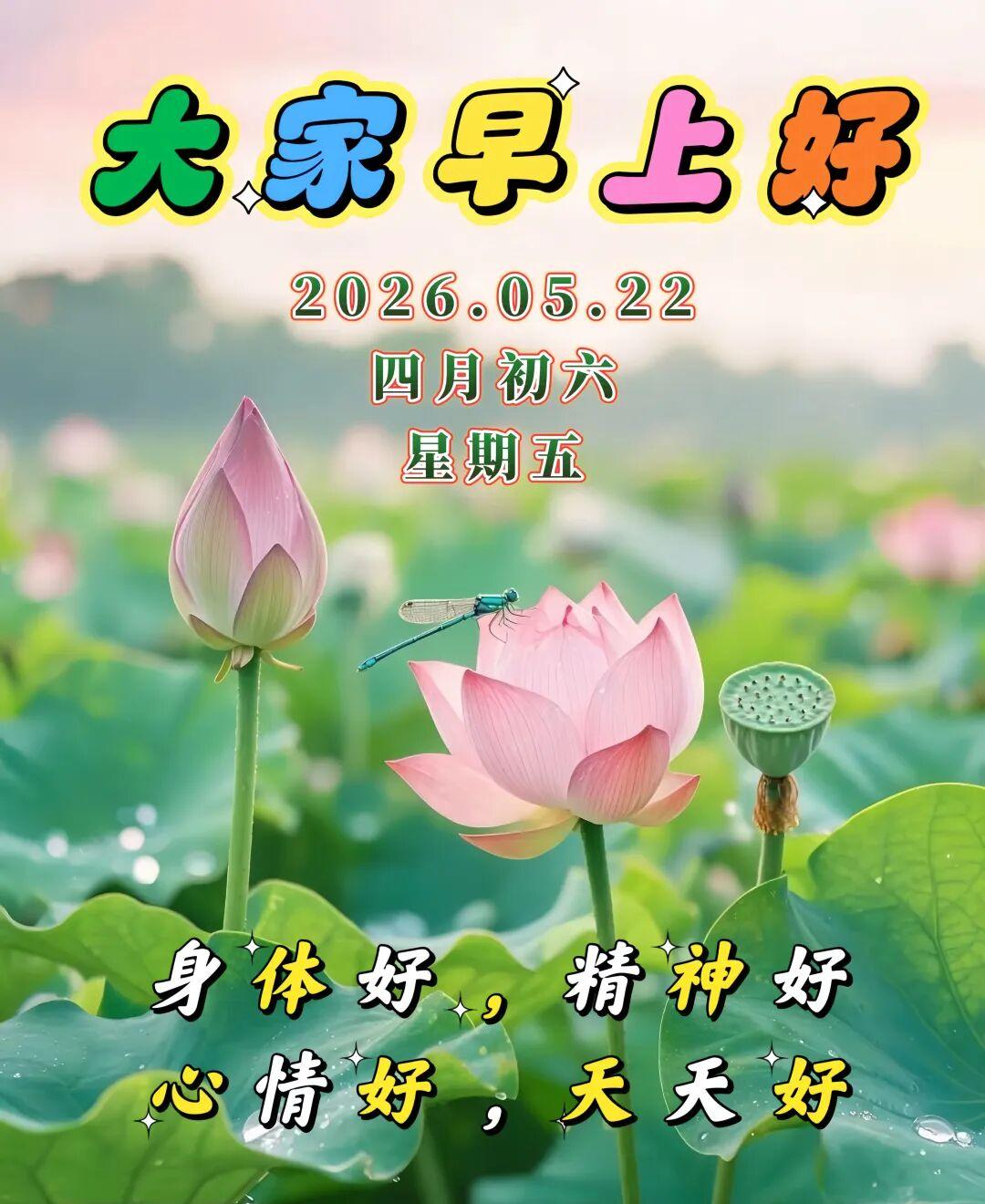 🌈今天是5月22日，🌞让日子，丰富多彩；🌅让生活，自由自在；🌹让烦恼，抛