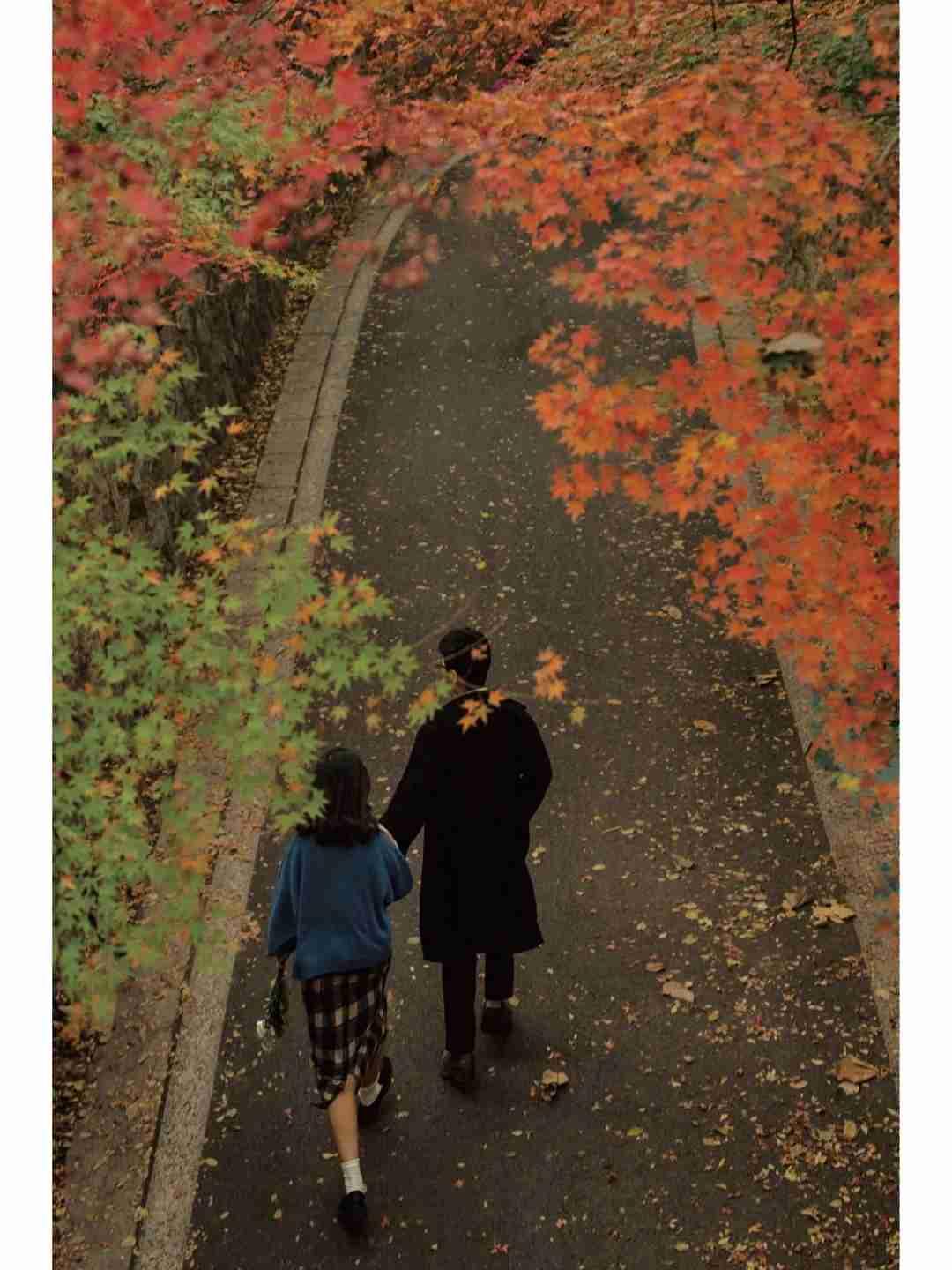 我的今日状态：💰期待暴富
我这里的天气：🍂微风