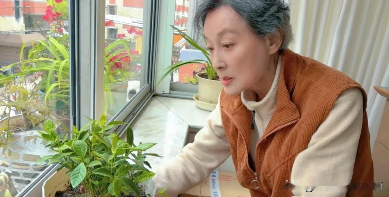 表演艺术家向梅老师退休之后，喜欢种种花，她精心打理着花盆里的绿植，长势喜人，向梅