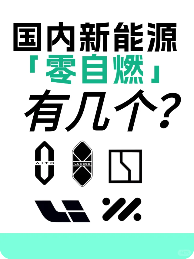 国内新能源【零自燃】有几家❓分别什么技术