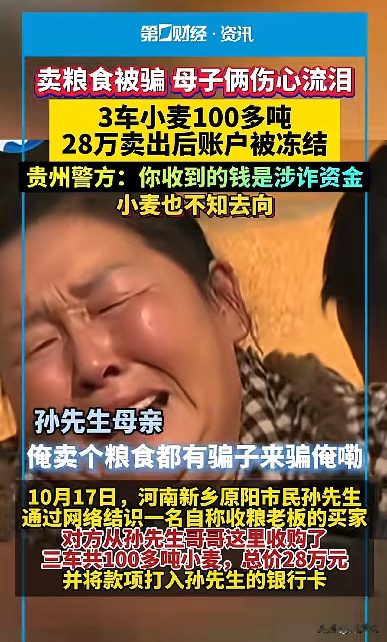 俺卖个粮食都有骗子来骗俺嘞！卖粮款28万秒冻结！贵州母子3车小麦被骗，得知真相当