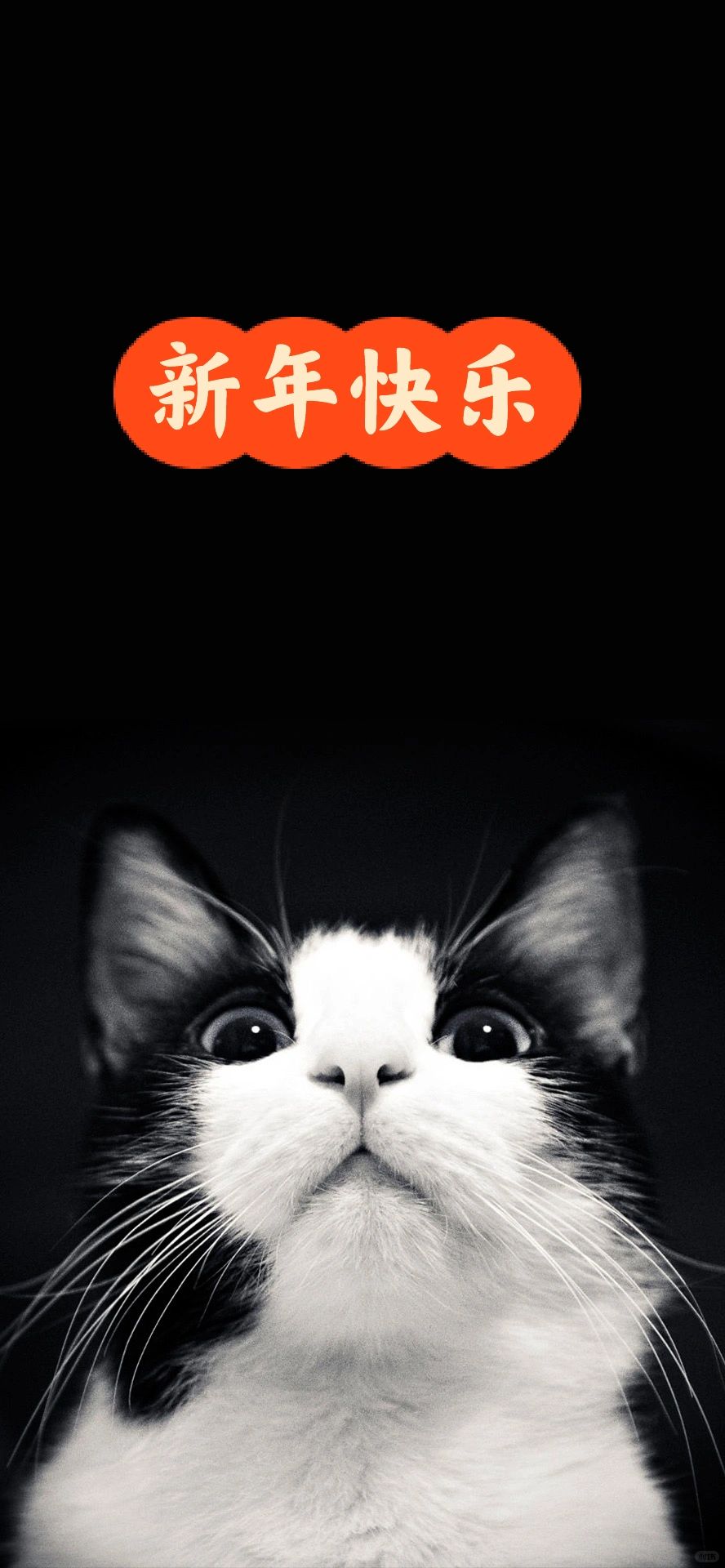 2024年的第一篇 新年快乐！