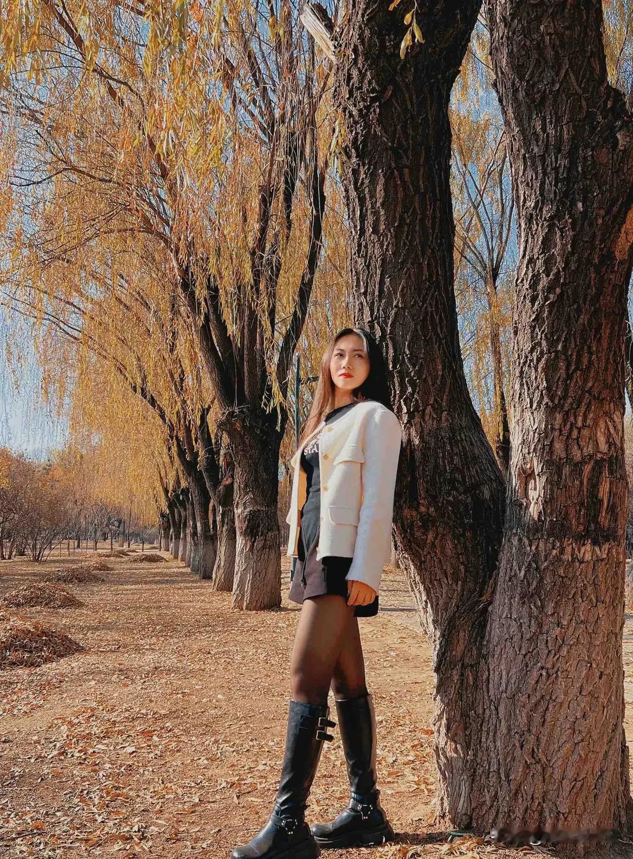 浅冬之遇（原创首发）陋室听秋/文
 
在秋的尾声，落叶纷扬，
浅冬，携着一丝薄凉