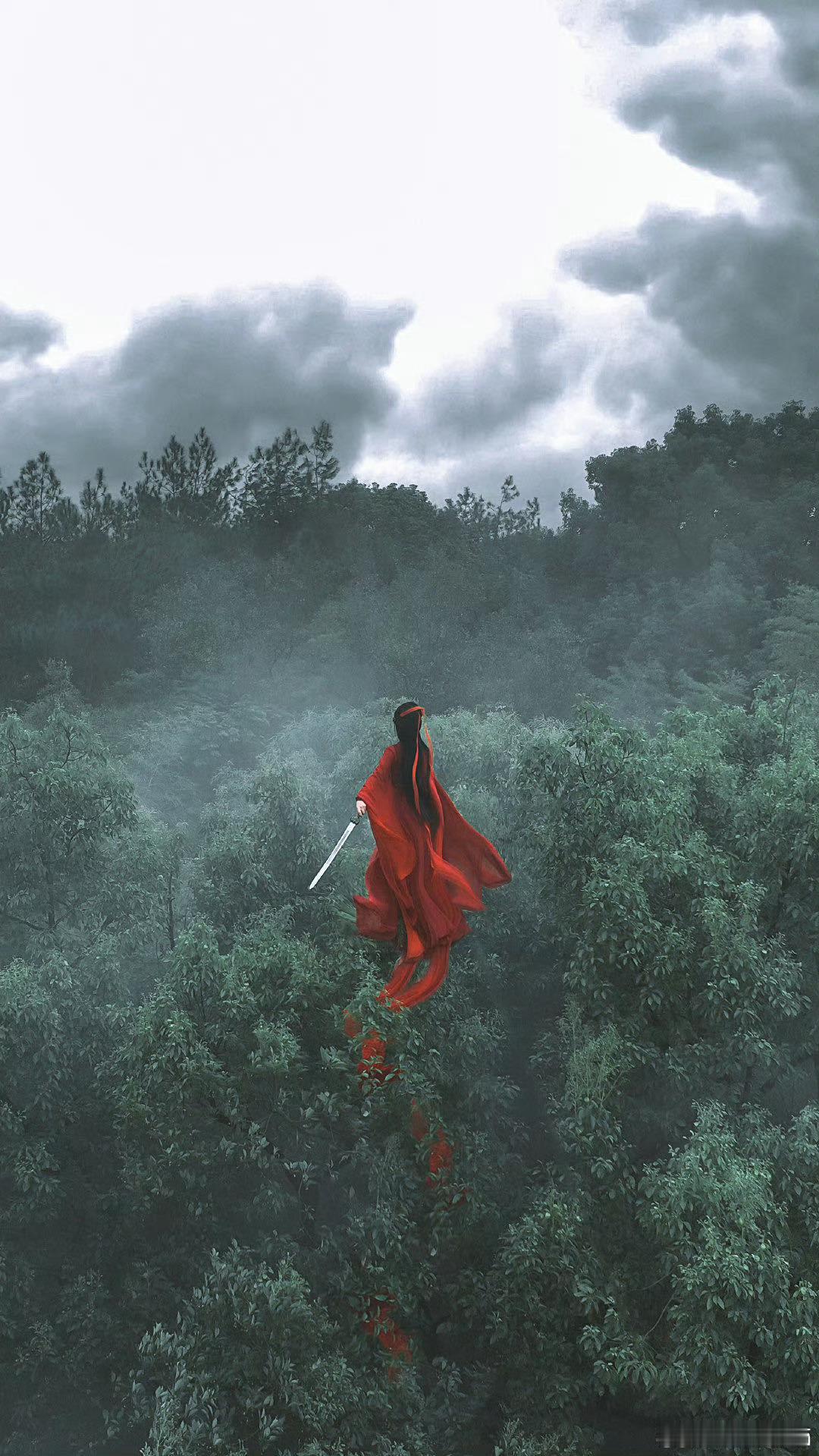 王鹤润红衣好有江湖侠气⚜️一剑一竹一红衣，一人一影一江湖，王鹤润完美演绎独行侠女