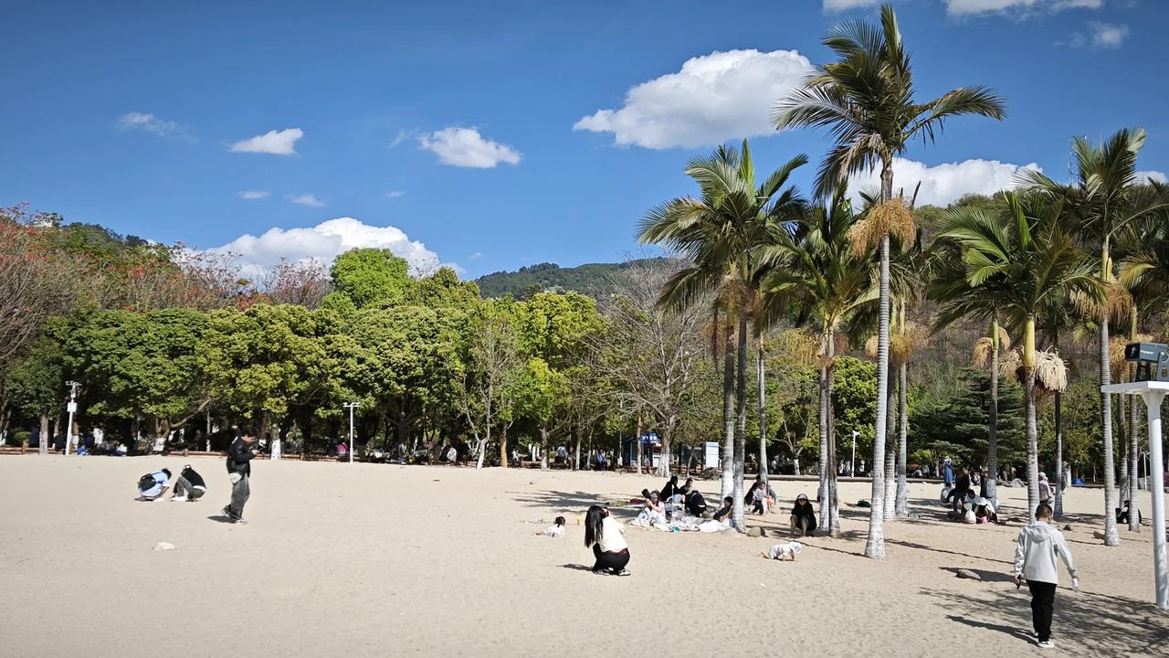 分享一下你随手拍下的照片椰影摇曳，晴空如洗，暖融融的日光洒在细腻沙地上。人们或闲