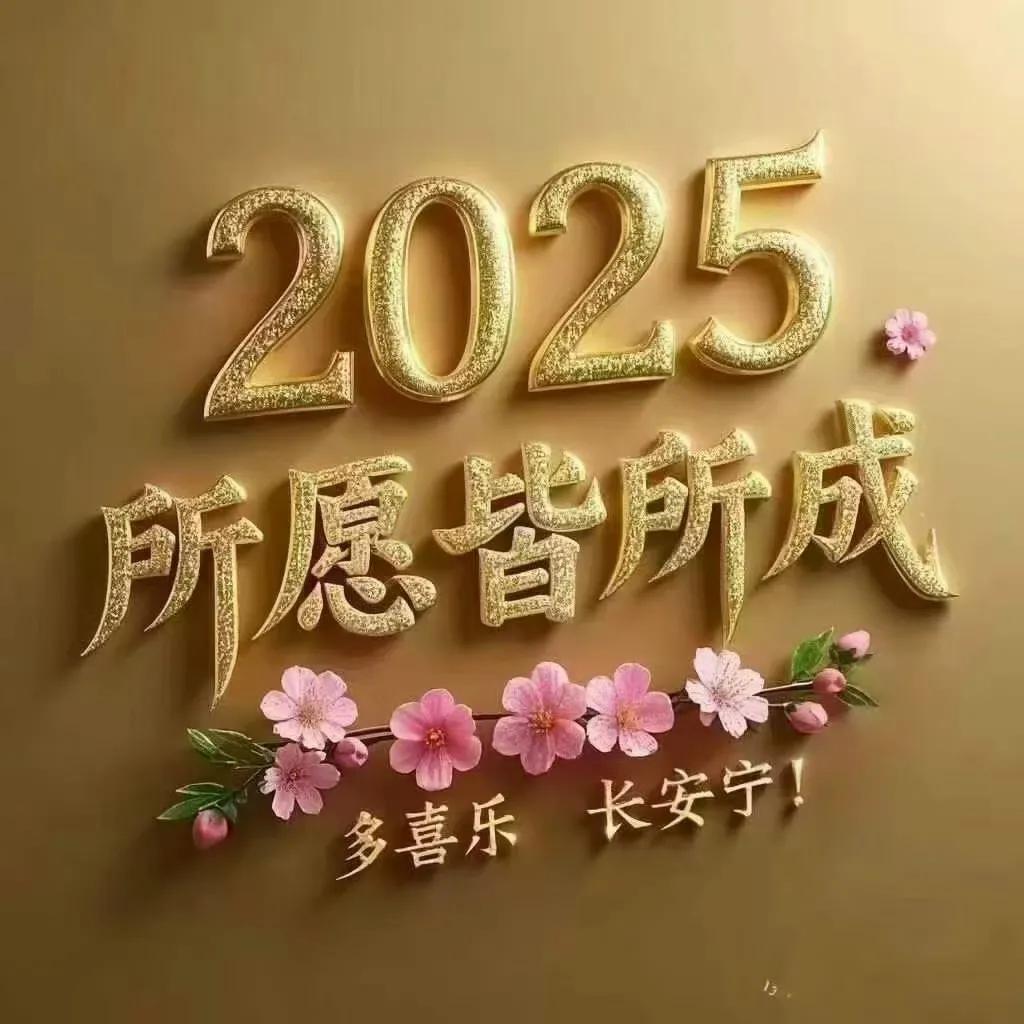 祝愿所有遇见的朋友，2025所愿皆所成