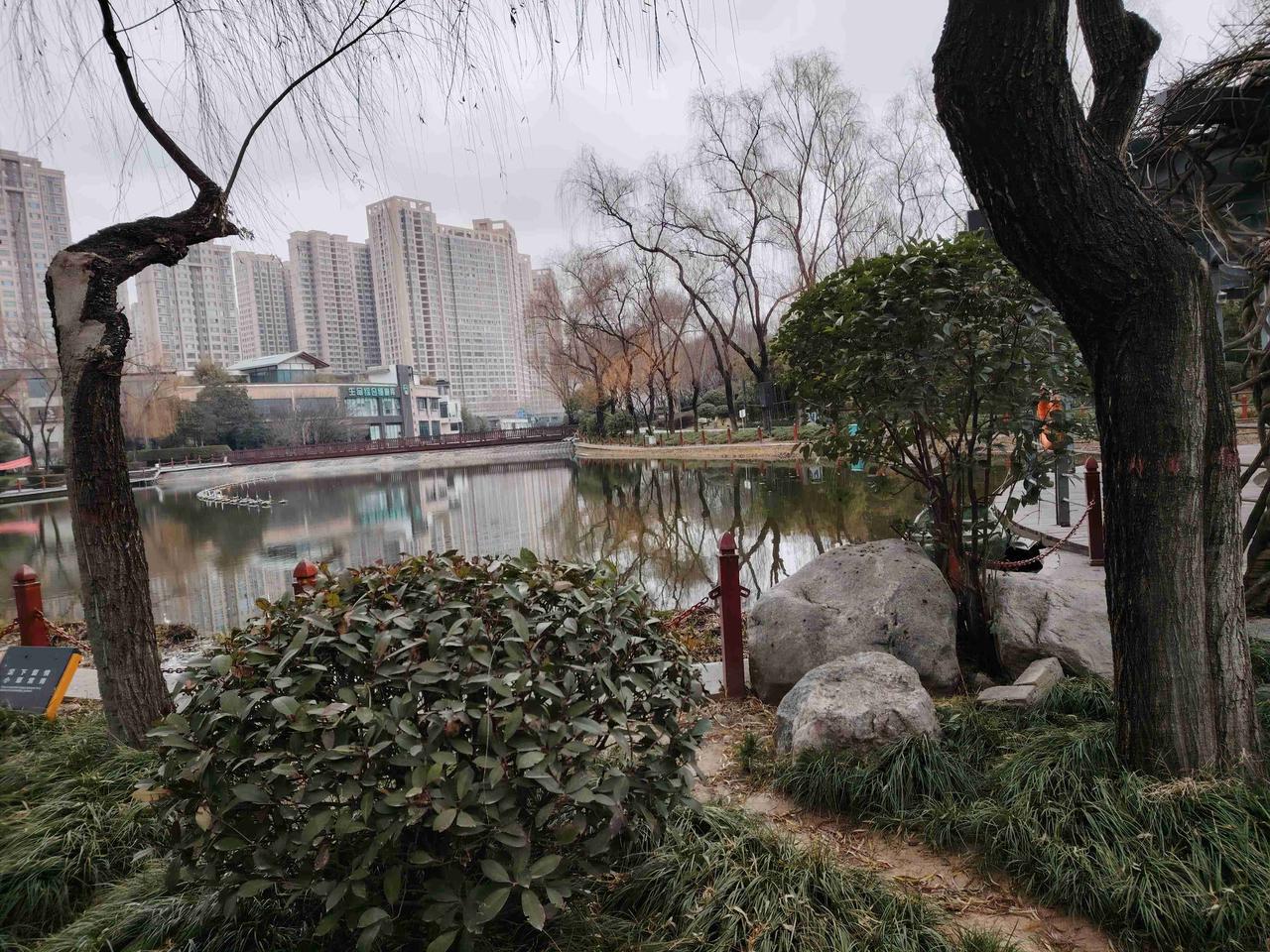 “谁都知道学校后勤是个油水大的部门”，这句话一针见血地揭示了教师群体对教育资源分