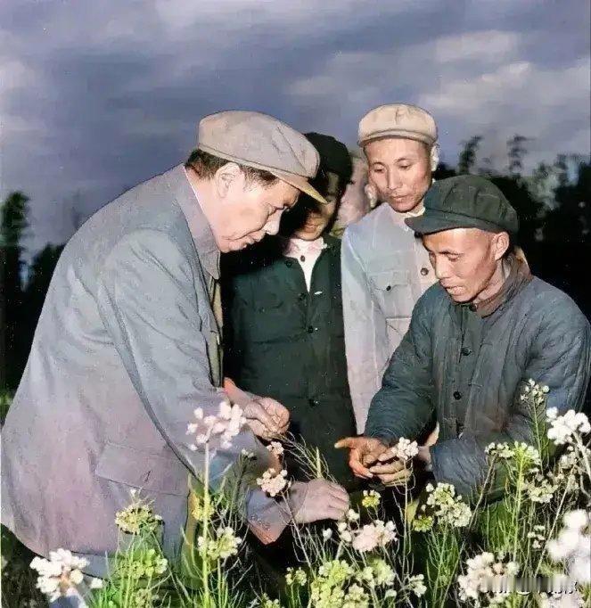 毛主席谈饮食很接地气，心里始终装着全国老百姓

其实一桌子热饭热菜，未必每个家庭