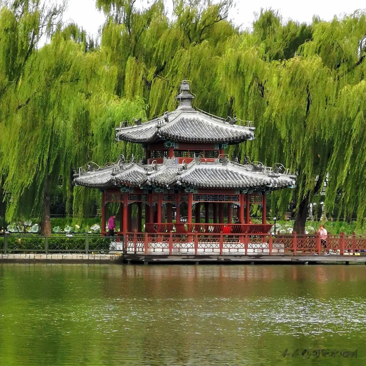 北京的陶然亭公园
一座融古代与现代造园艺术为一体的、以突出中华民族“亭文化”为主