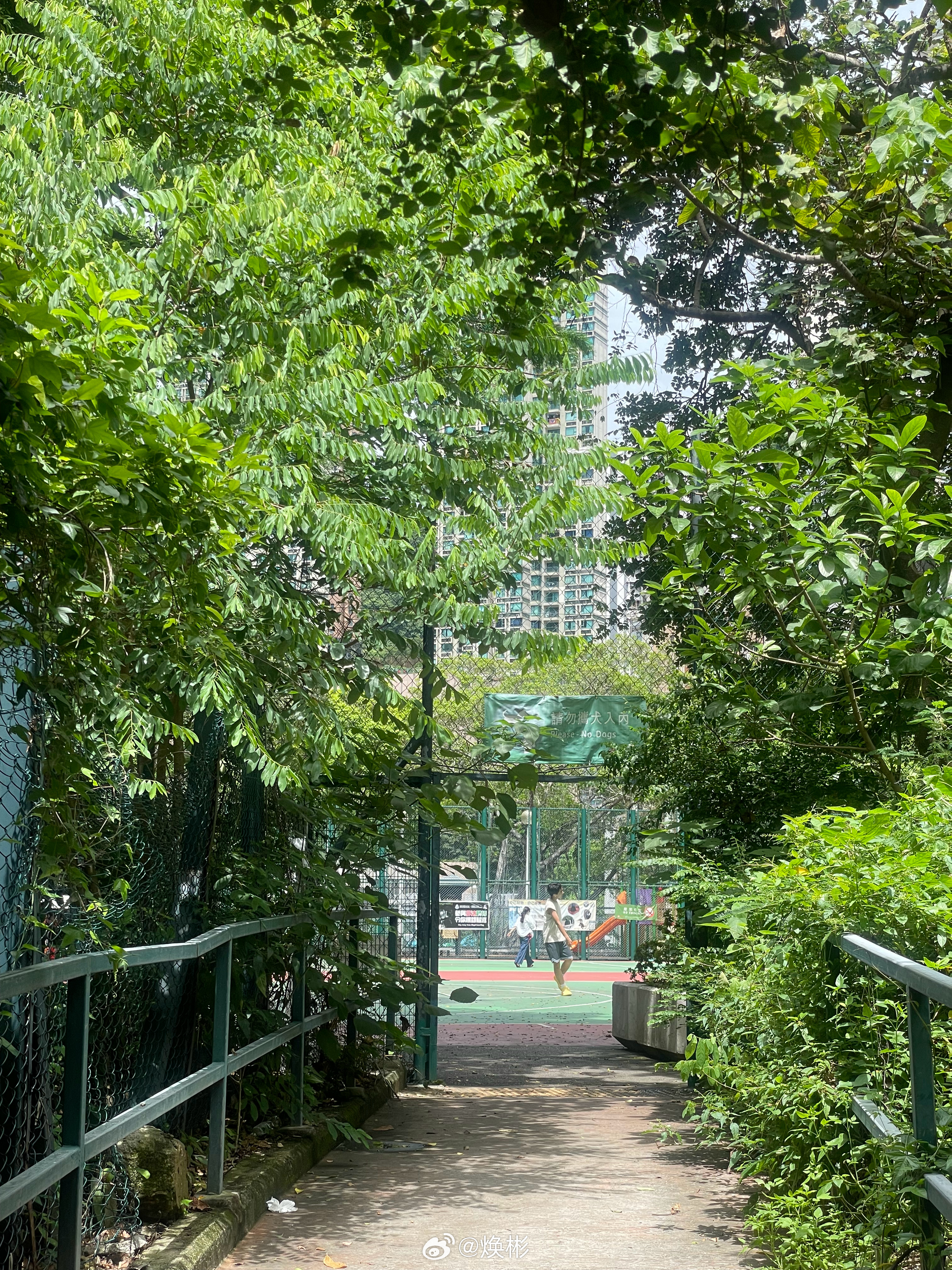 我也是好起来了，一年半载没摸过球，我居然在香港坚尼地城的网红篮球场打上球了，果然