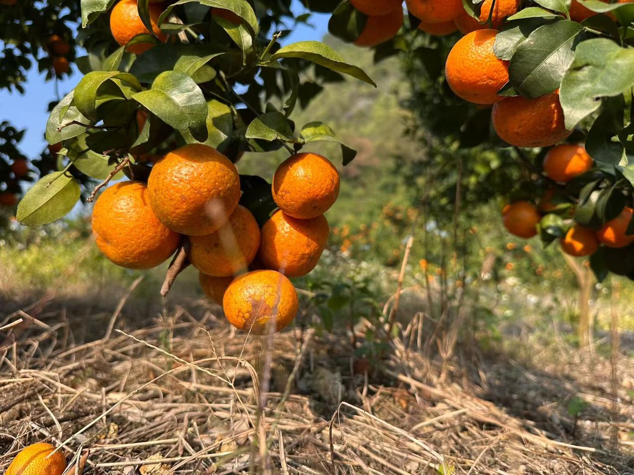 人老了最怕什么？
 
人老了最怕的不是皱纹和白发，而是身边没个能说心里话的人。