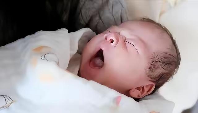 生育大局定了：不出意外，2026年中国新生人口或将迎来3大变化

2026年中国