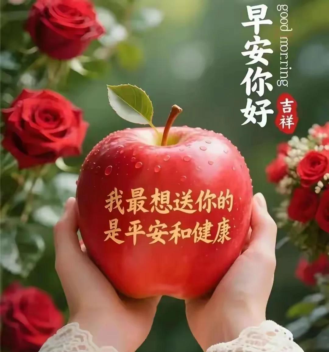 从芯焕发凯启蜂芒