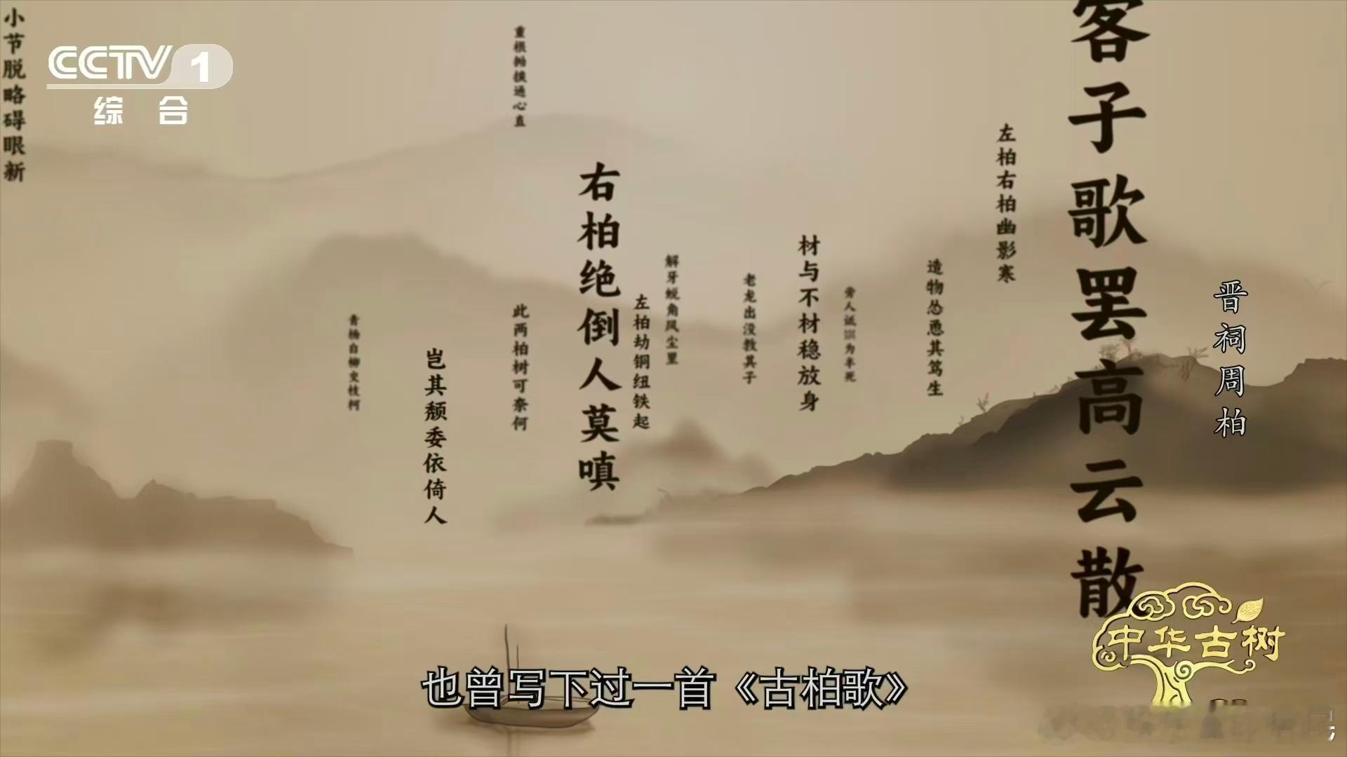 3000岁古柏躺着长了数百年 周柏的存活是生命奇迹！3000 岁高龄横着生长，靠
