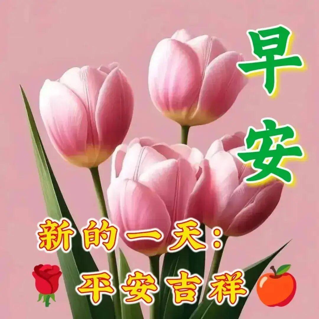 清明祭祀如何做到文明又环保：清明假期，缅怀亲人，给已故的亲人送上一束鲜花，文明又