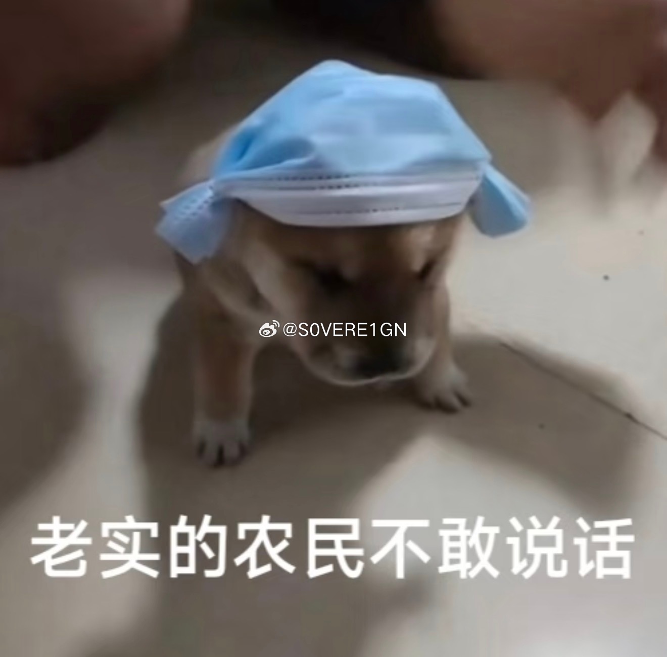 背刺6.78亿用户WPS吃相有点难看 而且wps还会偷偷改系统设置，一用wps所