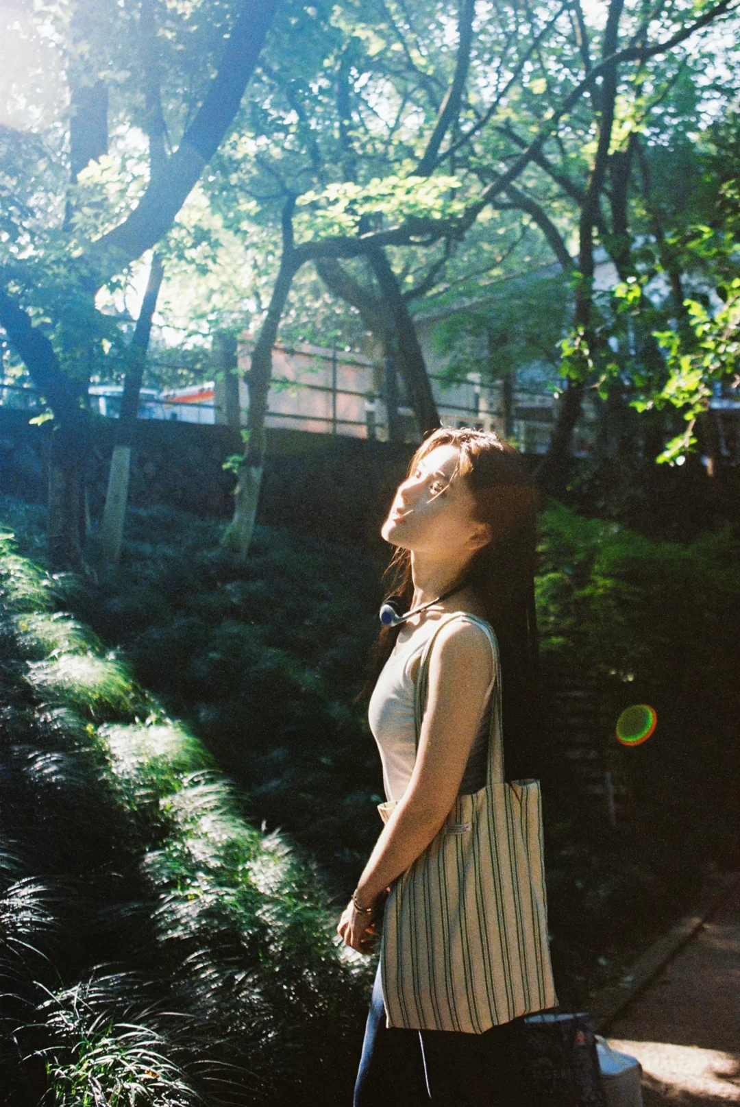 夏日氧气感🎞️🌿