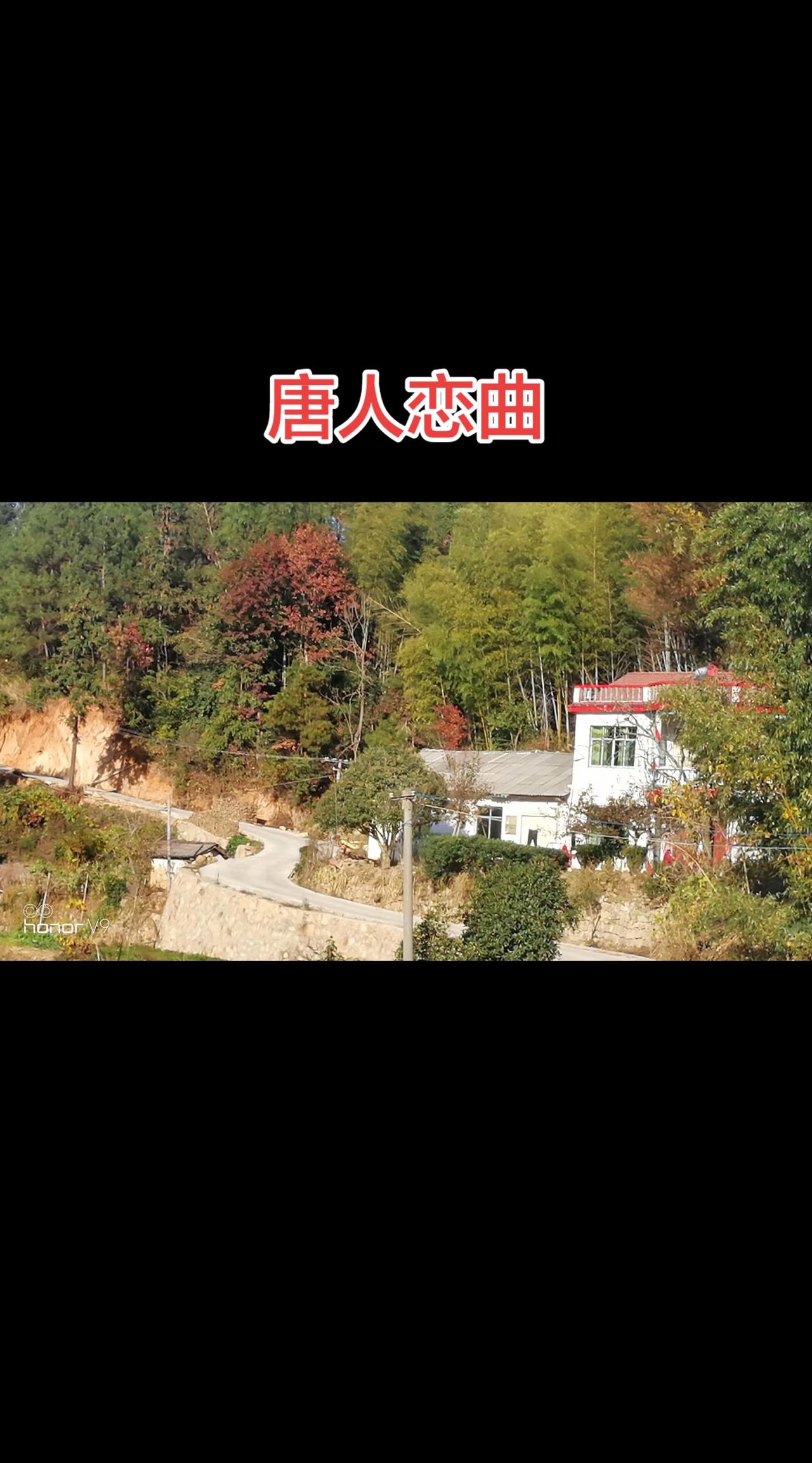 唐人恋曲。抖音玩法合伙人计划 情绪音乐玩法新风向