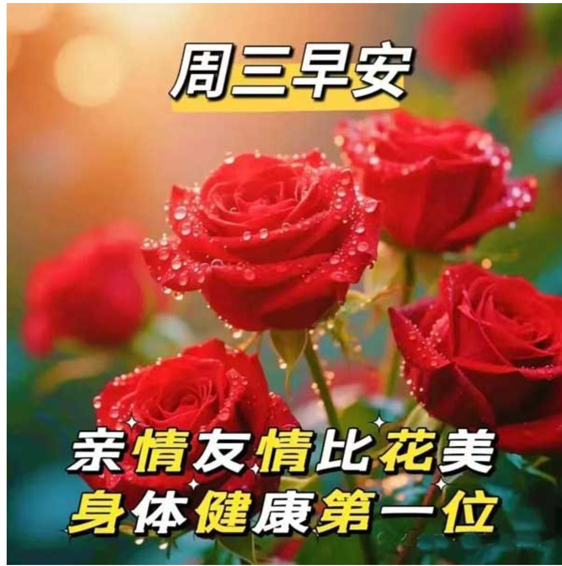 夏日炎炎暑天长，
清风徐来送清凉；
一声问候随风到，
愿友岁月无波澜；
三餐安暖