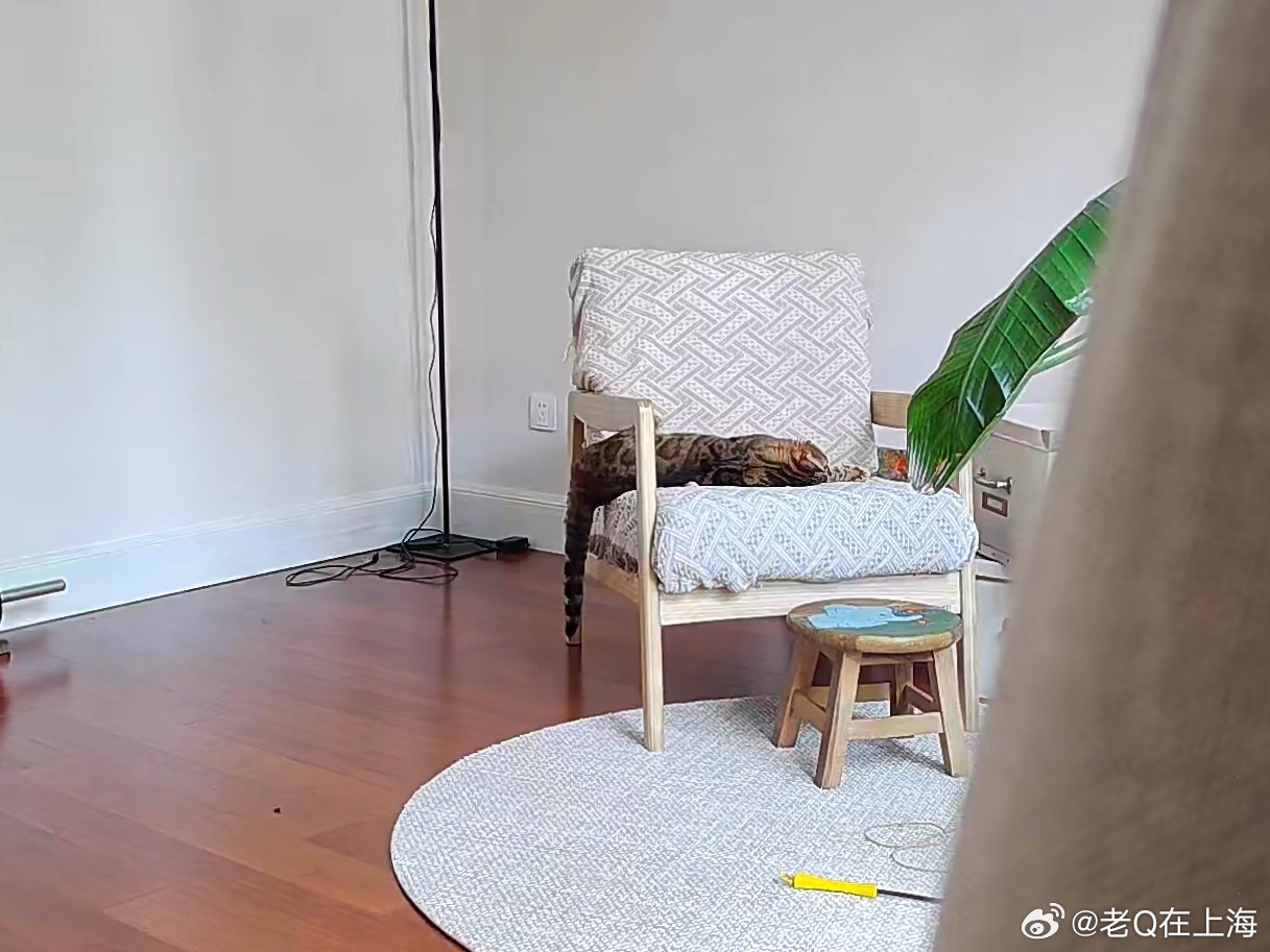 Miumiu4岁了，是不是到油腻期了。 