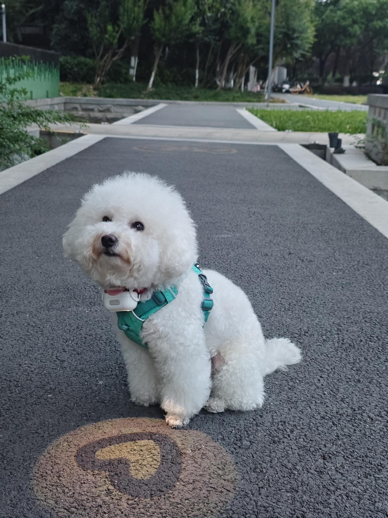 冬日生活打卡季