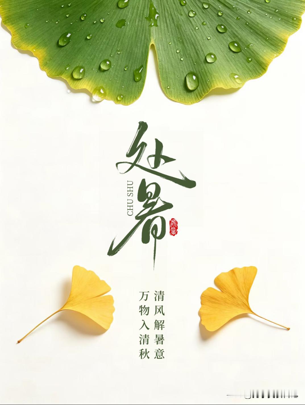 不是迷信！
明日处暑，记得：1不洗，2不去，3不吃，别大意

---


1不洗