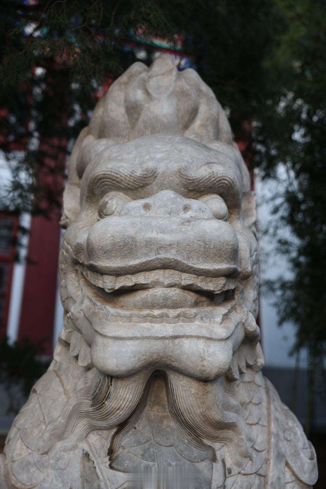 #很火还很努力的明星# 让我们看看谁又来买热搜了[努力] ​​​