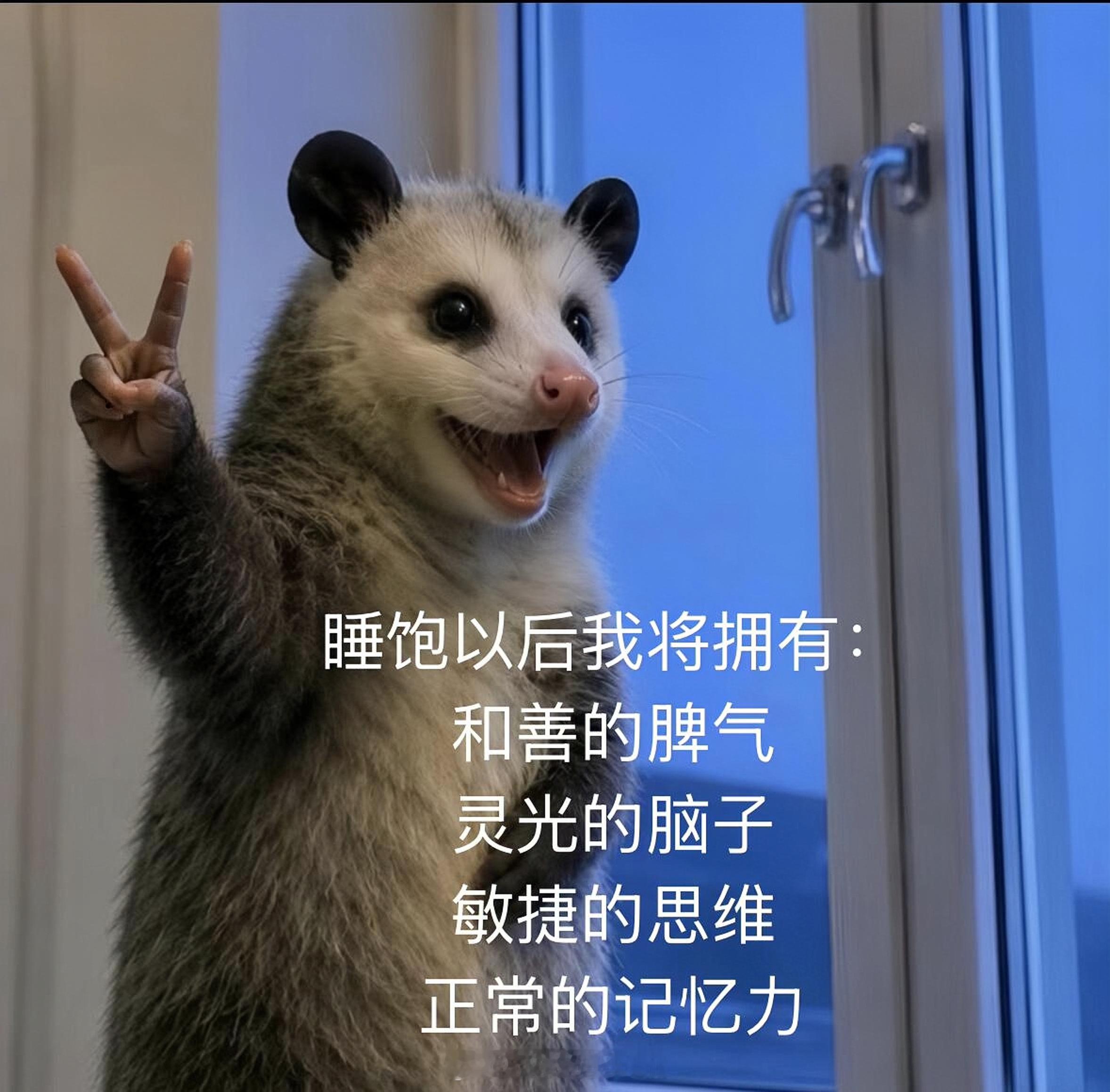 时常觉得自己离成功只差一个充足的睡眠 ​​​